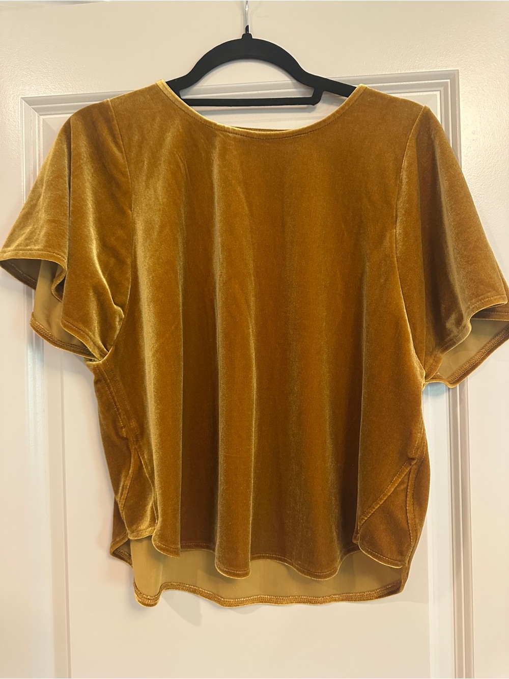 Women’s Madewell velvet top